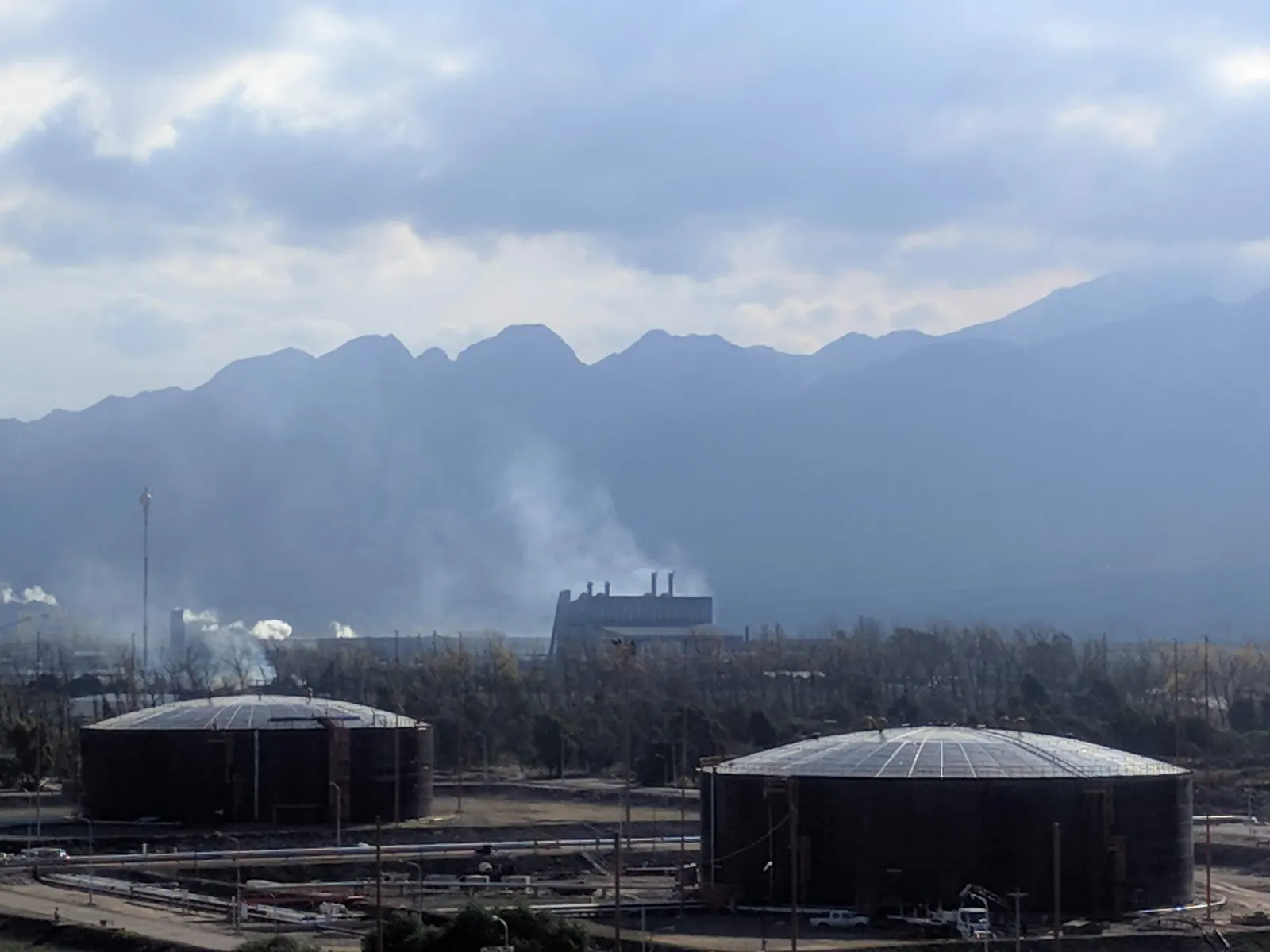 Cordillera de los Andes desde una planta en Mendoza